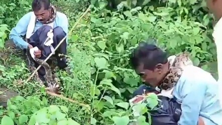 Akıllara durgunluk veren olay! Tuvaletini yapan adamın boynuna 5 metrelik yılan dolandı - gundem