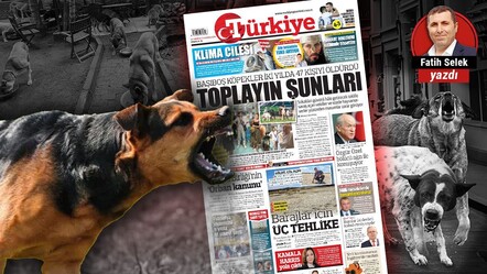 İtiraf ediyorum; köpek operasyonunu nasıl çektik? - gundem