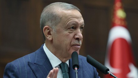 Erdoğan'dan CHP'li Namık Tan'a 'Mavi Vatan' tepkisi: Sorumsuzluk, şuursuzluk gaflet - politika