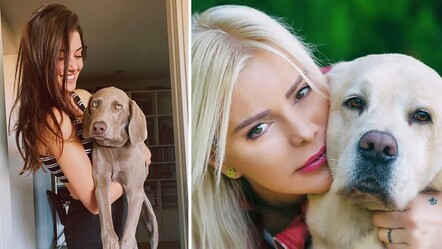 Korunaklı sitelerde cins köpekleriyle yaşıyorlar! 'İzole' savunuculara tepki büyük - gundem
