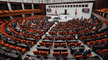 Sokak hayvanları düzenlemesi TBMM'de kabul edilerek yasalaştı - gundem