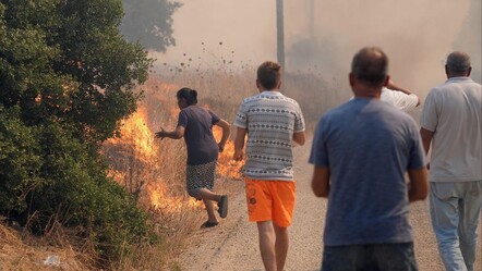 İzmir Urla'da alevler yükseldi! Zeytinliköy ve Çiftlikevler siteleri tahliye edildi - ekonomi