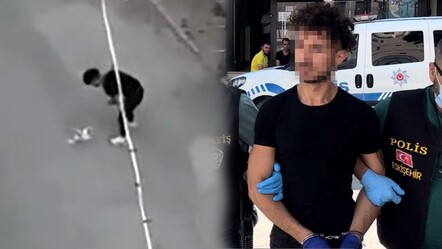 Köpeğe eziyet eden şahıs tutuklandı - dunya