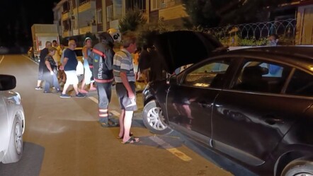 Didik didik ettiler, her yerde aradılar! Ekiplerin 'yılan' uğraşı sonuçsuz kaldı - gundem