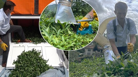 Çay toplamayı kolaylaştıran Rizeli şimdi de taşıma problemini çözdü! Cihazı üreticilerin ilgisini çekiyor - yasam