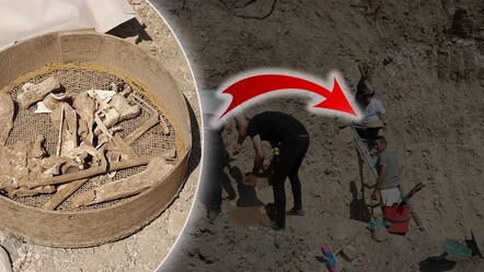 Amasya'da Roma döneminden insan kemikleri bulundu! 2 bin yıllık olduğu düşünülüyor - kultur-sanat