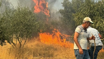Aydın'da orman yangını! Alevler yerleşim yerlerine sıçradı - gundem