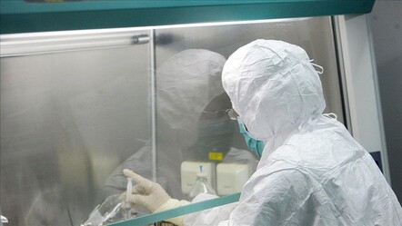 Maymun çiçeği yayılıyor! O ülkede acil durum ilan edilecek - saglik