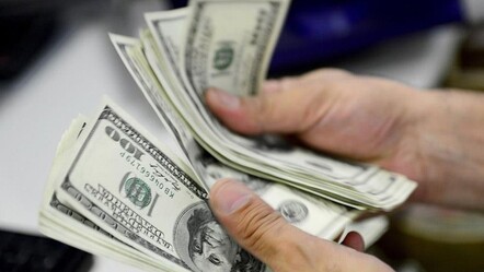 2025 beklentileri bile şaşırtıyor! TCMB'nin ardından dolar için kritik tahmin - ekonomi
