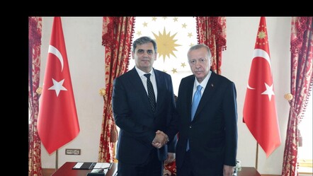 Cumhurbaşkanı Erdoğan, İbrahimovic'i kabul etti - gundem