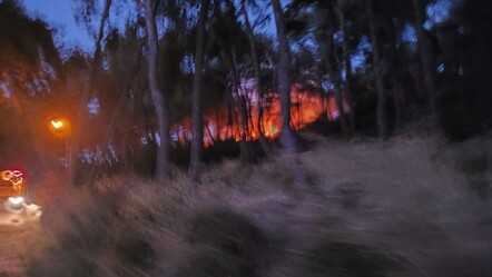 Heybeliada'da yangın paniği! Vatandaşlar da müdahale etti - gundem