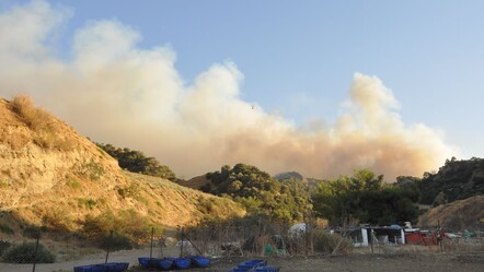 Manisa Salihli'de dün başlayan orman yangını sürüyor! Ekipler teyakkuz halinde - gundem