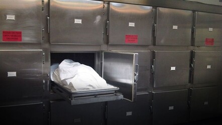 Sosyal medya bu olayı konuşuyor: Gerçeği öğrenen kadın kocasını yasal olarak öldürttü - dunya