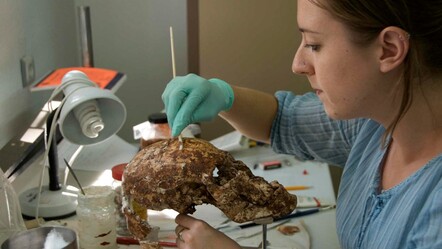 Sardes kazıları savaşın izlerini buldu! Lidya ve Pers Krallığı'nın Thymbra Muharebesi Manisa'da yaşandı - kultur-sanat