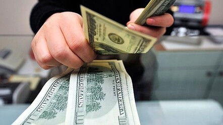 Yatay görünüm devam ediyor! Dolarda yıl sonu getirisi şaşırtıyor - ekonomi