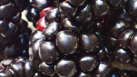 Yiyen şifa buluyor! Kanser dahil birçok hastalığa şifa oluyor - saglik