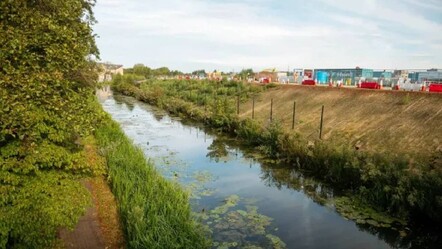 Kanala sodyum siyanür döküldü! Yetkililer 'büyük bir olay' diyerek uyardı - SAĞLIK
