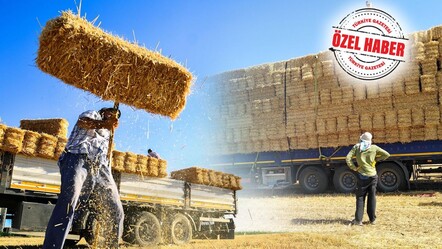 Atasözü gerçek olacak! Çiftçi samanı saklayamadı... Fiyatlar seneye iki katına çıkacak - ekonomi
