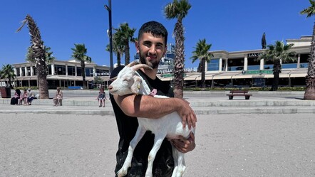 Köpeği değil keçiyi tercih etti! Evcilleştirdiği yavruyu tatile götürdü - YAŞAM