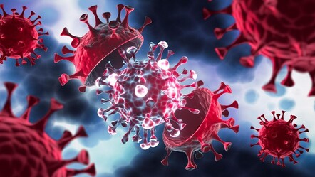 Maymun çiçeği Türkiye'de görüldü mü? Uzman isimden 'mpox' virüsü iddiası - dunya