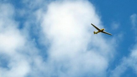 Brezilya'da bir uçak kazası daha! Ünlü isim torunlarıyla birlikte öldü - gundem