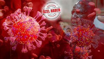 Maymun çiçeği virüsüne karşı en şanslı onlar! Yüzde 80 korunaklılar - gundem