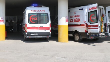 Başıboş köpekler yaşlı kadına saldırdı! Kopmak üzere olan parmakları dikildi - gundem