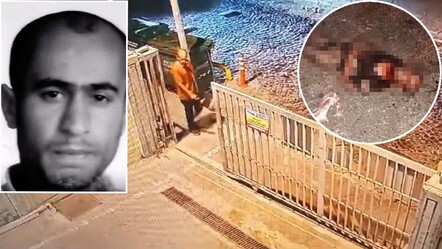 İstanbul'da sahipsiz sokak köpeği vahşeti! Engelli adamı paramparça ettiler - gundem