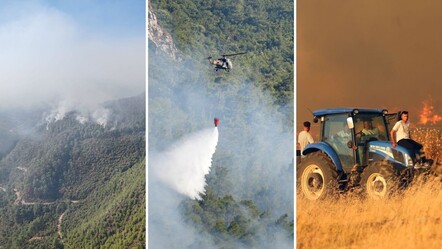 Orman yangınlarında son durum! İzmir'de 7 kişi gözaltında, Aydın Bozdoğan'da alevler kontrol altında - gundem
