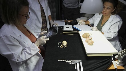 Yüz binlerce tarihi eser yapay zeka DNA'sıyla imzalandı! Hedef 2 milyon 860 bin kültür varlığı - kultur-sanat