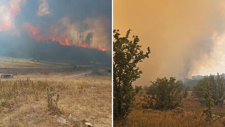 Ankara Kızılcahamam’da orman yangını! Alevler Bolu'ya sıçradı, Vali Şahin'den açıklama geldi - dunya