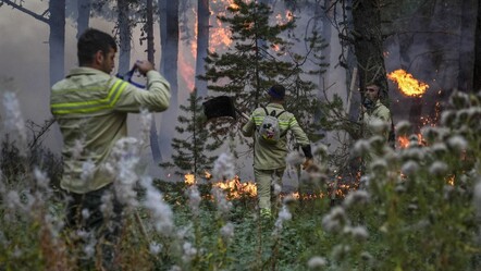 İki ilde orman yangını! 36 hane tahliye edildi - gundem