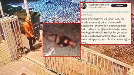 Sokak köpekleri Ayhan Özçelik'i parçalayarak öldürmüştü! Gazetecinin skandal yorumuna tepki yağdı - gundem