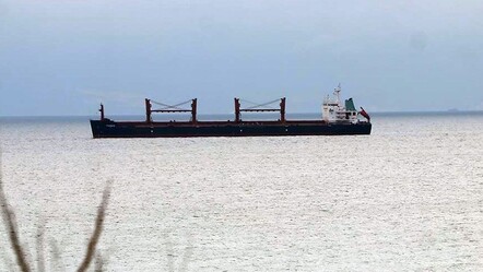 Yük gemisinde maymun çiçeği paniği! Hepsi karantinaya alındı - dunya