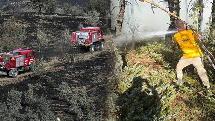 Ankara'da başlayıp Bolu'ya sıçrayan yangın kontrol altına alındı - gundem