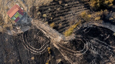 Ankara'da başlayıp Bolu'ya sıçrayan yangınla ilgili 1 şüpheli tutuklandı - gundem
