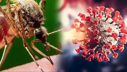 Batı Nil Virüsü'nde vaka kargaşası! Sağlık Bakanlığı farklı İBB farklı rakam verdi - gundem