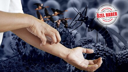 Batı Nil virüsünü göçmen kuşlar taşıyor - saglik