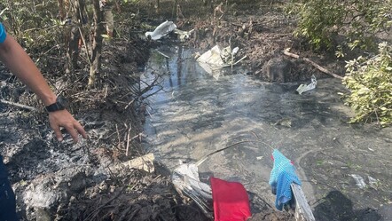 Uçak ormana düştü, 9 kişi hayatını kaybetti - dunya