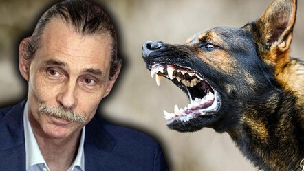 Erdal Beşikçioğlu'nun çocuğu ısıran köpekle ilgili kararı tepki çekti: Başkan suç işliyor - gundem