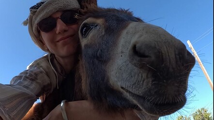 Gaziantep'te kazı alanındaki sıpayı sahiplenen arkeolog antik şehrin adını verdi: Samal - kultur-sanat