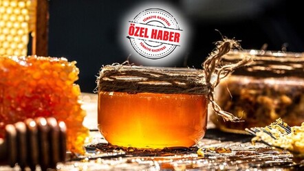 Üreticilerden kontrol çağrısı! Arıcılıkta akraba kolonisi son bulsun - yasam