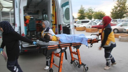 Konya'da sokak köpeği dehşeti! Saldırıya uğrayan çocuk hastanelik oldu - gundem