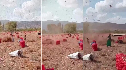 Amasya'da korkutan anlar! İki çocuk hortumun içinde kaldı - dunya