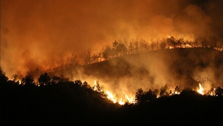 Hatay'da orman yangını! - gundem