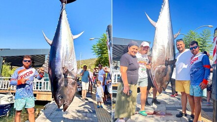 Bodrum'da 316 kiloluk dev orkinos yakalandı - gundem