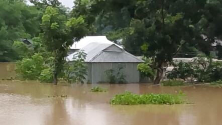 Bangladeş resmen felaketi yaşıyor! Sel salgın hastalık getirecek - dunya