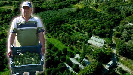 Günlük 1.000 liraya çalışacak işçi bulamıyorlar! 10 dönümlük bahçeyi tek başına hasat ediyor - ekonomi