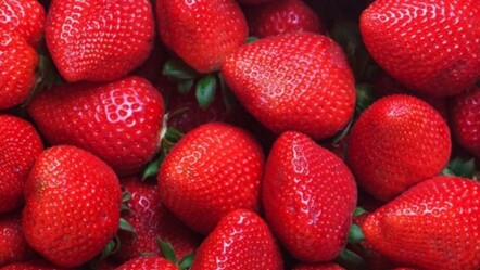 Hüyük çileği Avrupalı oldu! AB’den coğrafi işaret tescili aldı  - gundem