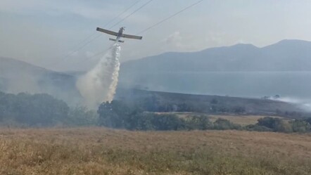 Paşalimanı Adası'nda yangın! Ekiplerin müdahalesi sürüyor - gundem